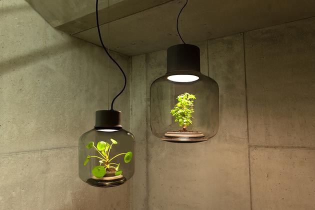 將植物放在一款密閉的LED燈具中能持續(xù)生長(zhǎng)嗎？